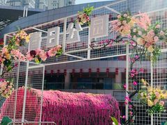 -石狮世茂摩天城摩天轮