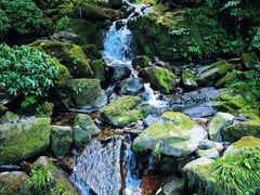 -瓦屋山景区