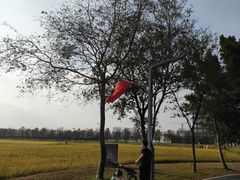 -光明小镇欢乐田园
