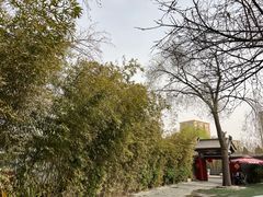 -万柳阁小馆·花园餐厅(龙潭湖店)