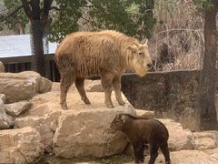 -杭州野生动物世界