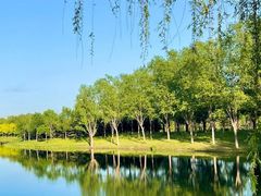 -东郊湿地公园
