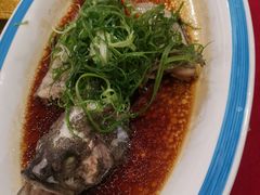 清蒸麻斑鱼-天鲜阁·海鲜粤菜·33年老字号(石槎白云站店)