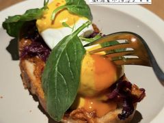 -O'eat Blossom&Pelican(深圳首店)