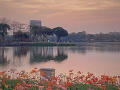 -顺峰山公园
