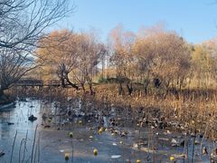 -长兴太湖图影湿地文化园