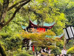 -岳麓山风景名胜区