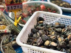 -旺角小渔村·海肠捞饭开创者(环山路店)