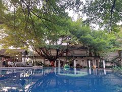 -喜洲吧·江畔老船厂·庭院餐厅(喜临院店)