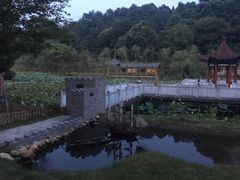 -江西景德镇玉田湖国家湿地公园