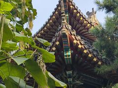 -长春孔子文化园-文庙