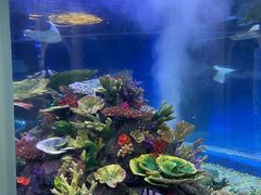 -成都浩海立方海洋公园