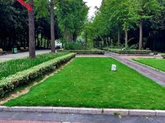 -苏州河梦清园环保主题公园