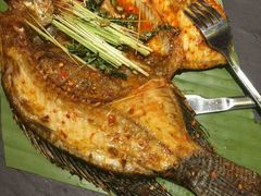 -云海肴·汽锅鸡·云南菜(天津国金汇店)