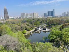-红梅公园