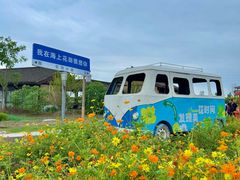 -杭州湾海上花田景区