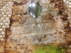 -翠亭酒家(山西南路店)