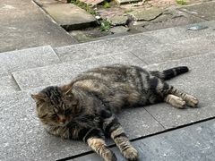 -江南大学(蠡湖校区)