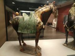 -西安大唐西市博物馆