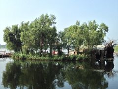 iphone_upload_pic-白洋淀景区