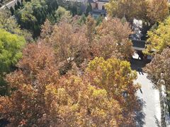 -大槐树寻根祭祖园