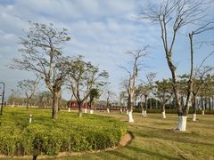 -芒洲湿地公园