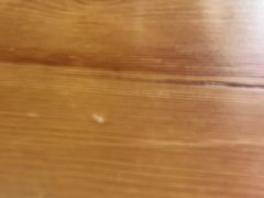 -阿军排档·烧烤