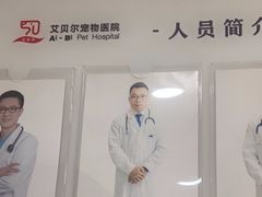 -艾贝尔宠物医院·24H转诊中心·肿瘤猫专科(江宁双龙店)