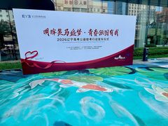 -东北大学附属辽宁爱尔眼科医院
