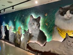 -猫腻·猫咖·撸猫馆(星光大道店)