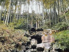 -灵隐飞来峰景区