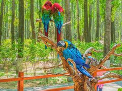 -北京野生动物园