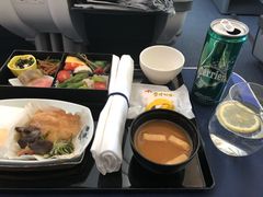 -全日本空输株式会社(上海办事处)