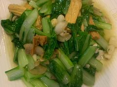 -有家生煎(三里屯店)