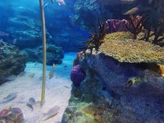 -海合安成都极地海洋公园
