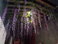 -Cocodemer 产后恢复中心(多伦路店)