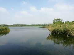 -溱湖国家湿地公园