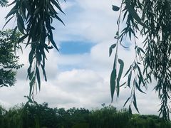 -白鹭湾湿地公园