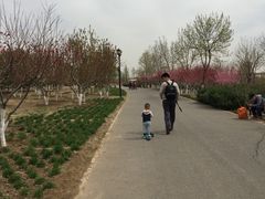 -永定河休闲森林公园