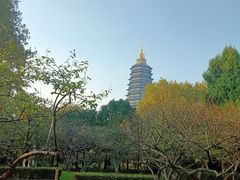 景点-红梅公园