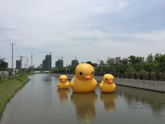 -菊园百果园