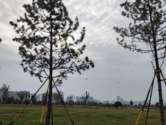 -汉长安城未央宫国家考古遗址公园