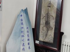 -中国第四纪冰川遗迹陈列馆
