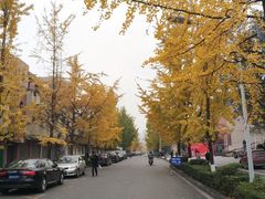 -四川大学(望江校区)