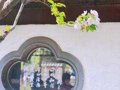 -团结湖公园