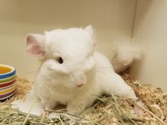 -龙猫仔乐园(惠福东路店)