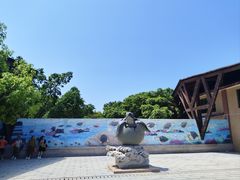 -广东惠东海龟国家级自然保护区
