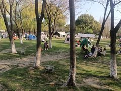 -九里河湿地公园
