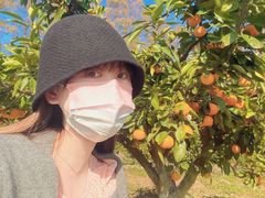 -前小桔亲子创意农场·草莓采摘·露营烧烤
