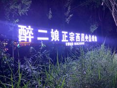 -醉二娘正宗西昌火盆烧烤(大丰店)